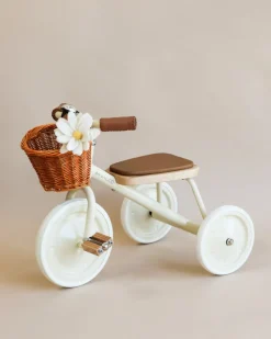 Toddler Trike>Banwood Sale