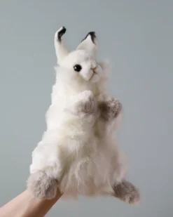 Bunny Puppet><noscript><img width=