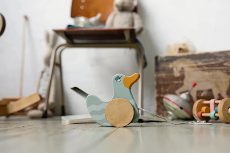 Duck Pull Toy - Mint Green>Friendly toys Fashion