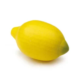 Lemon Pretend Food>Erzi Best