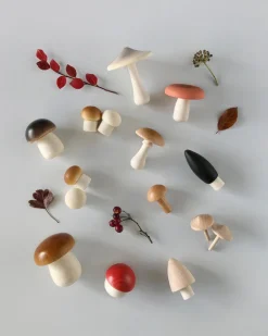 Forest Mushrooms Basket -><noscript><img width=