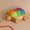 Grimm's Rainbow Turtle Pull-Toy and Building Blocks>Grimms Fashion