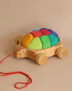 Grimm's Rainbow Turtle Pull-Toy and Building Blocks>Grimms Fashion