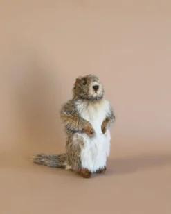 Groundhog Baby Stuffed Animal>Hansa Hot