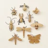 Handmade 11-Piece Wooden Insects>Odin Parker Online