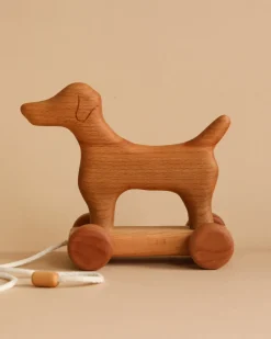Handmade Wooden Dog Pull Toy>Tateplota Best