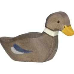 Swimming Duck><noscript><img width=