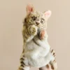 Leopard Cat Puppet>Hansa Outlet