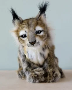 Lynx Cub Animal><noscript><img width=