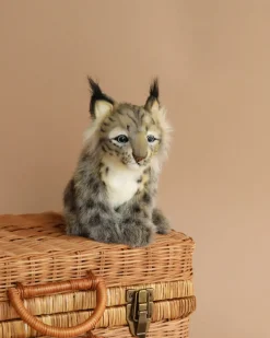 Lynx Cub Animal>Hansa Hot