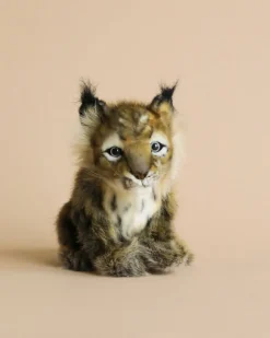 Lynx Cub Animal>Hansa Hot
