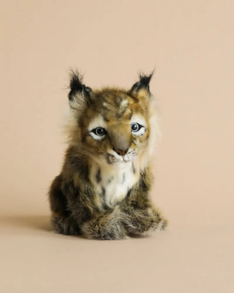 Lynx Cub Animal>Hansa Hot