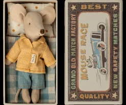 | Mouse in a box - Big Brother><noscript><img width=