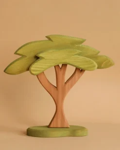 African Tree>Ostheimer Outlet