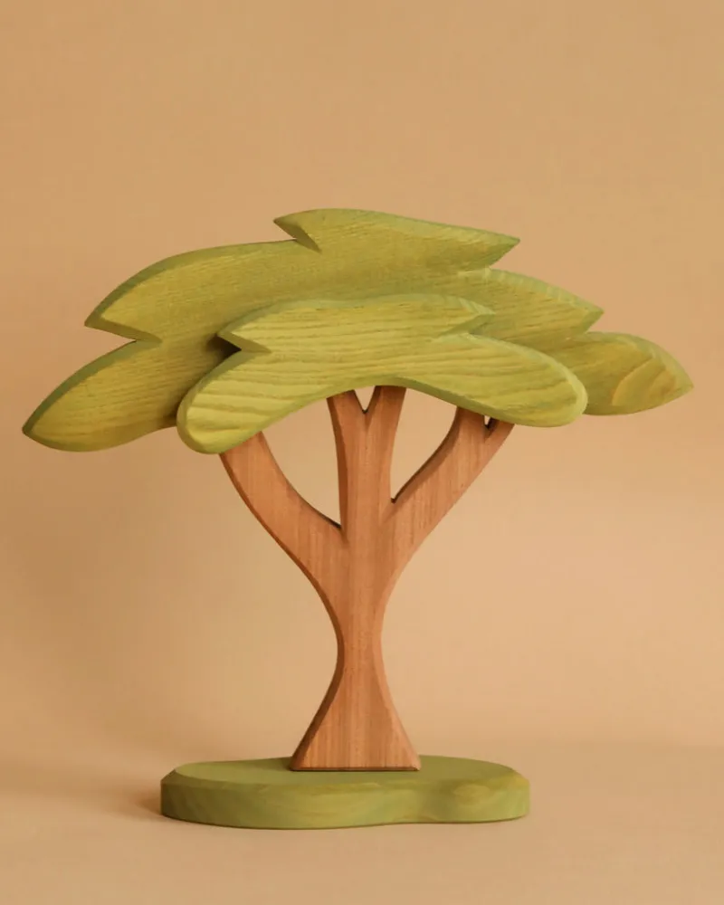 African Tree>Ostheimer Outlet