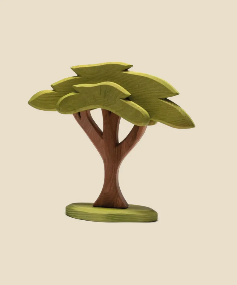 African Tree>Ostheimer Outlet