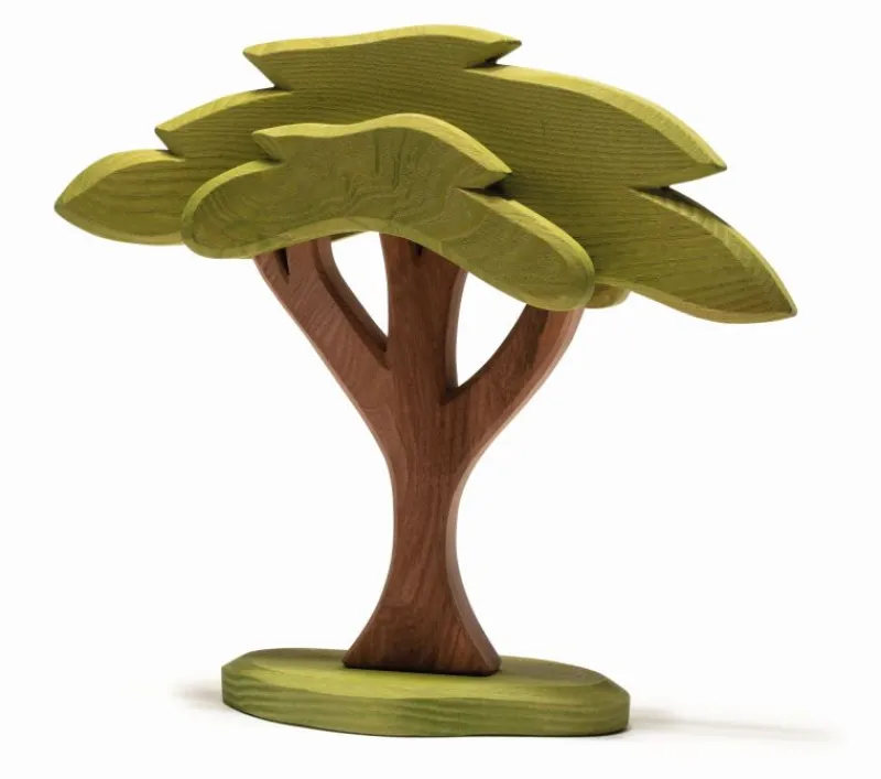 African Tree>Ostheimer Outlet