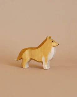 Collie Dog>Ostheimer Clearance