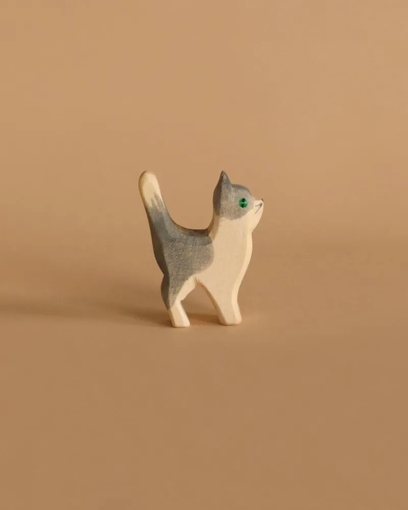 Gray and White Cat, Head Up>Ostheimer Sale