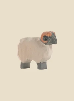 Moorland Ram>Ostheimer Hot