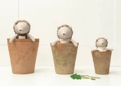 Poppet The Baby Hedgehog><noscript><img width=