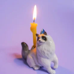 Ragdoll Cat Cake Topper><noscript><img width=