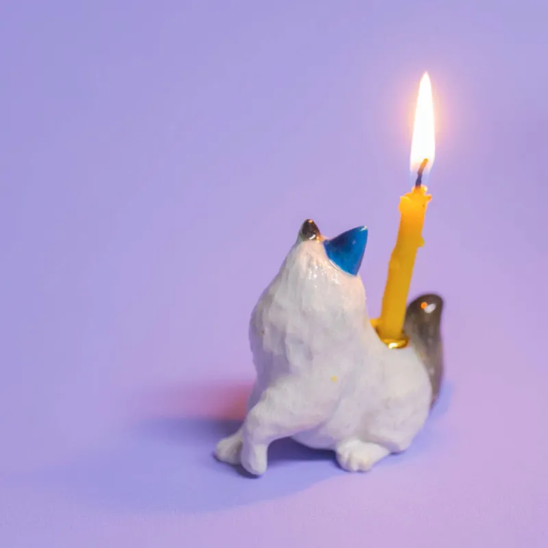 Ragdoll Cat Cake Topper>Camp Hollow Porcelain Animal Treasures Clearance