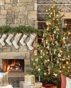 Rudolph Ornament><noscript><img width=