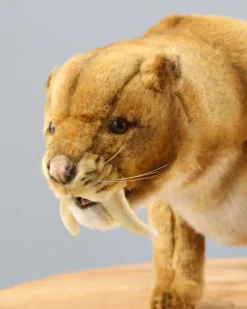 Saber Tooth Tiger Stuffed Animal>Hansa Sale