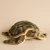 Sea Turtle Stuffed Animal>Hansa Outlet
