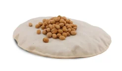 Cuddly Animal - Gray Seal><noscript><img width=