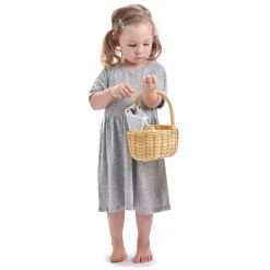 Shopping Basket>Tender Leaf Toys Discount