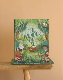 The World Needs The Wonder You See>HarperCollins Christian Publishing Online