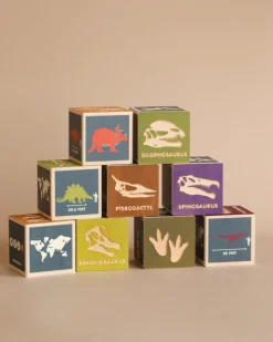 Dinosaur Blocks>Uncle Goose Best