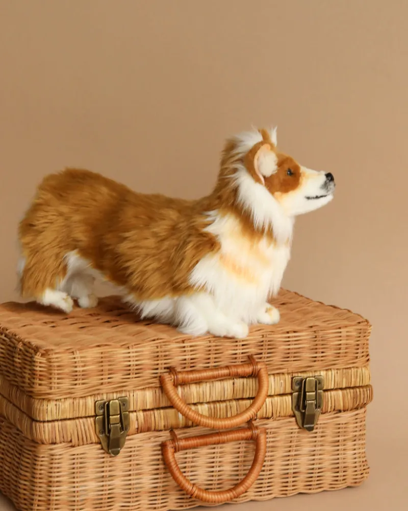 Welsh Corgi Dog Stuffed Animal>Hansa Best