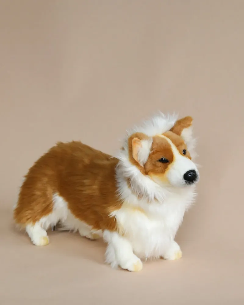 Welsh Corgi Dog Stuffed Animal>Hansa Best