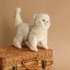 White Cat Stuffed Animal>Hansa Discount