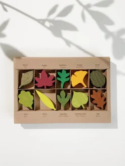 Woodland Leaves><noscript><img width=